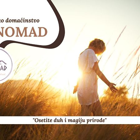 Onomad Apartment Boljevac Bagian luar foto