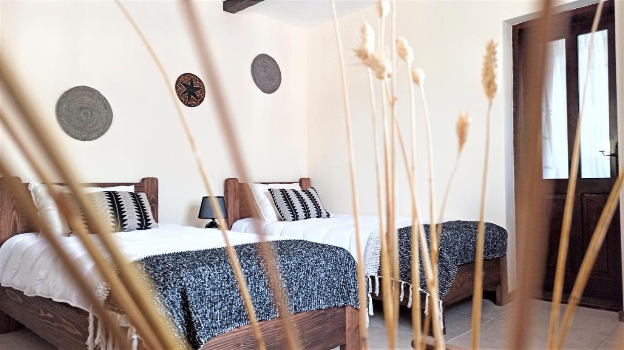 Onomad Apartment Boljevac Bagian luar foto