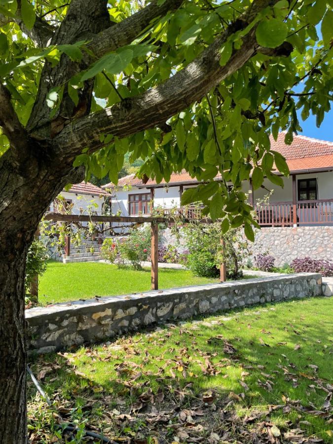Onomad Apartment Boljevac Bagian luar foto